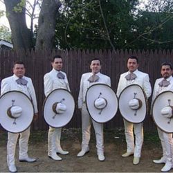 Guitarron Violin Mariachi