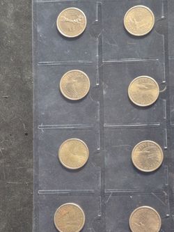 Coin Collection...8 Sacagawea Dollar Coins