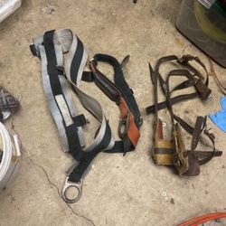 tree climbing tool