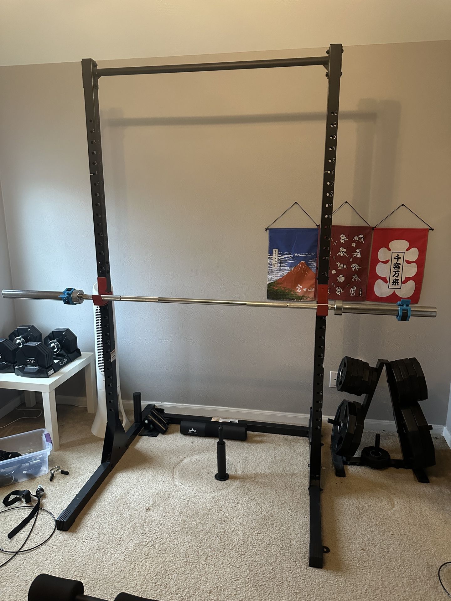 Full Home Gym - Squat Rack, Bench, Barbell Etc 