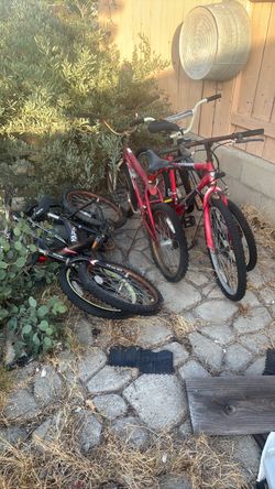 5 Bikes
