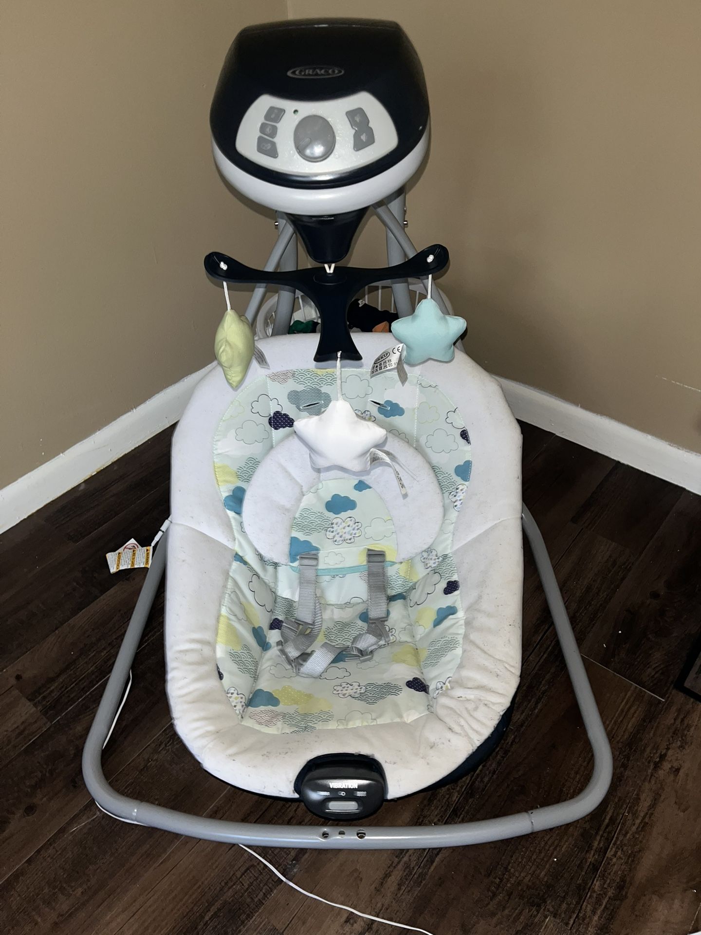 Graco Swing