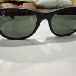 Rayban New Wayfair Sunglasses