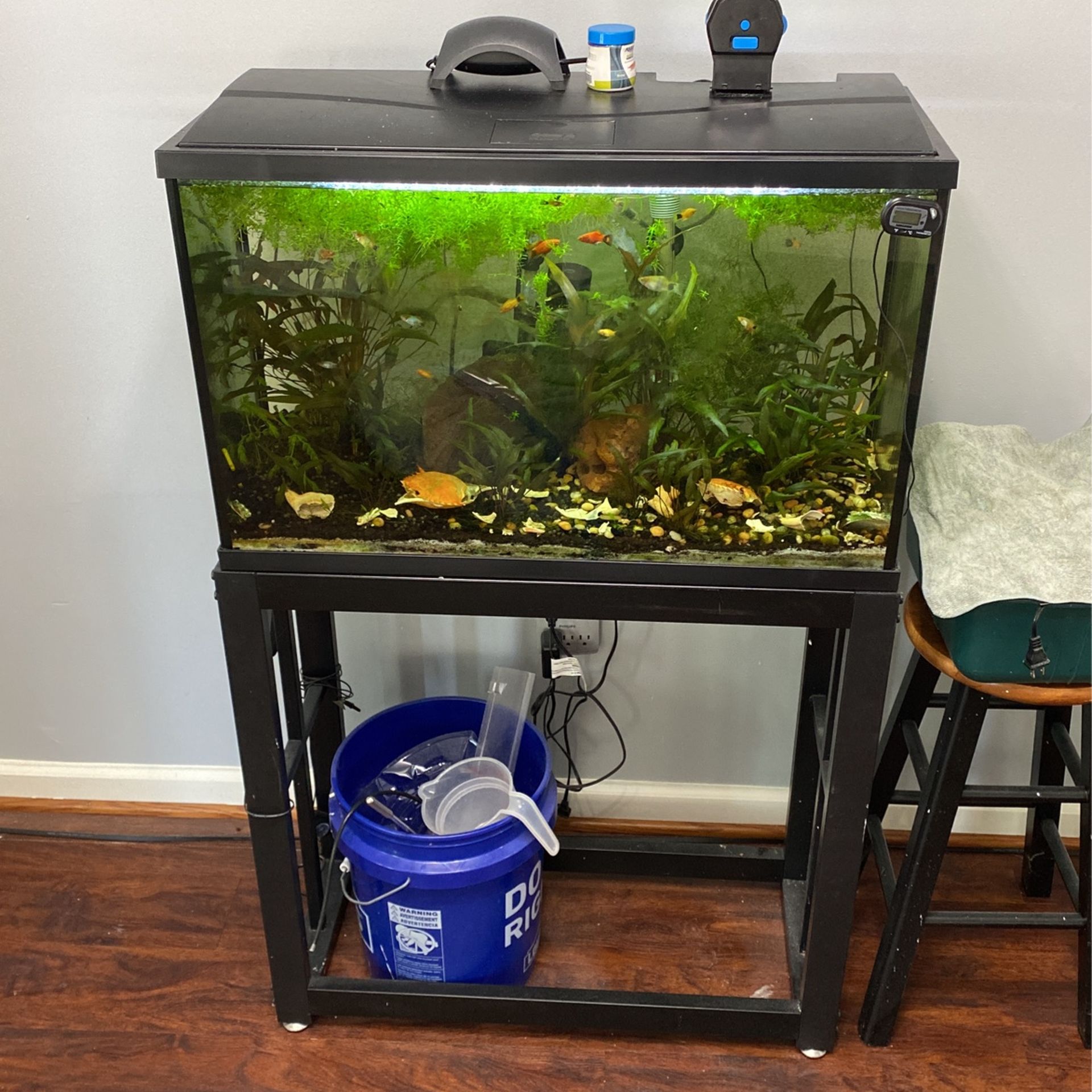 Stand Only For 29 Gal Tank