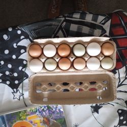 Farm Fresh Eggs