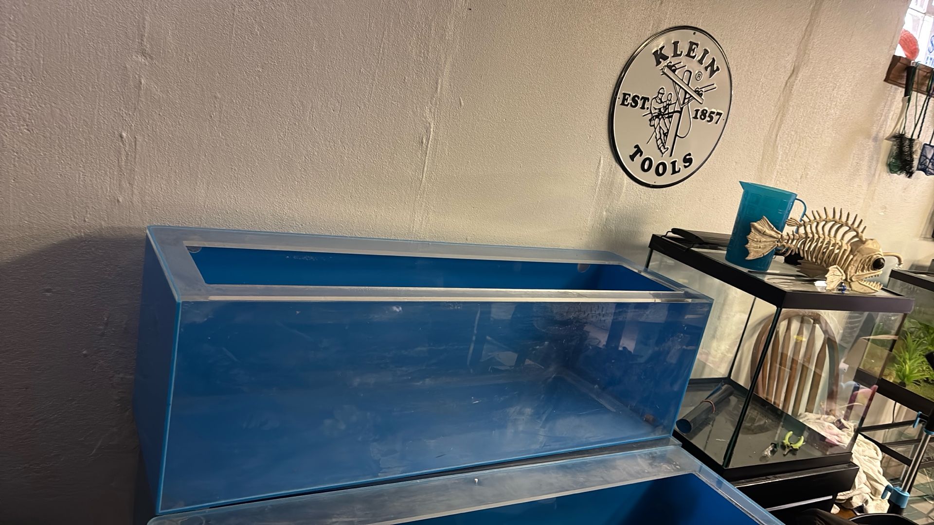 50 Gallon Acrylic Breeder Tanks 3 Sides Blue