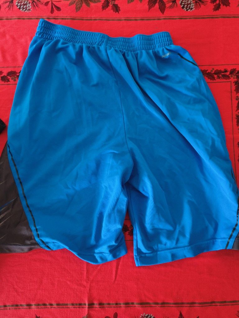 Blue Champion Duo Dry Athletic Shorts – Lightweight & Ready to Wear