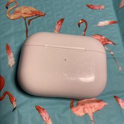 Apple Airpod Pro Charging Case - I Ship Fast 