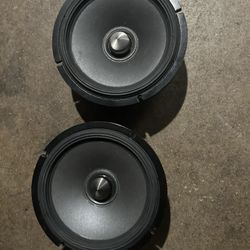 Alpine Speaker