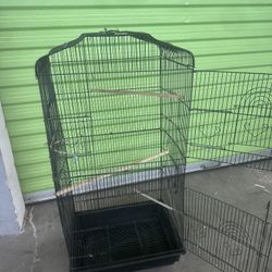 Bird Cage