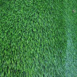 Synthetic Grass 