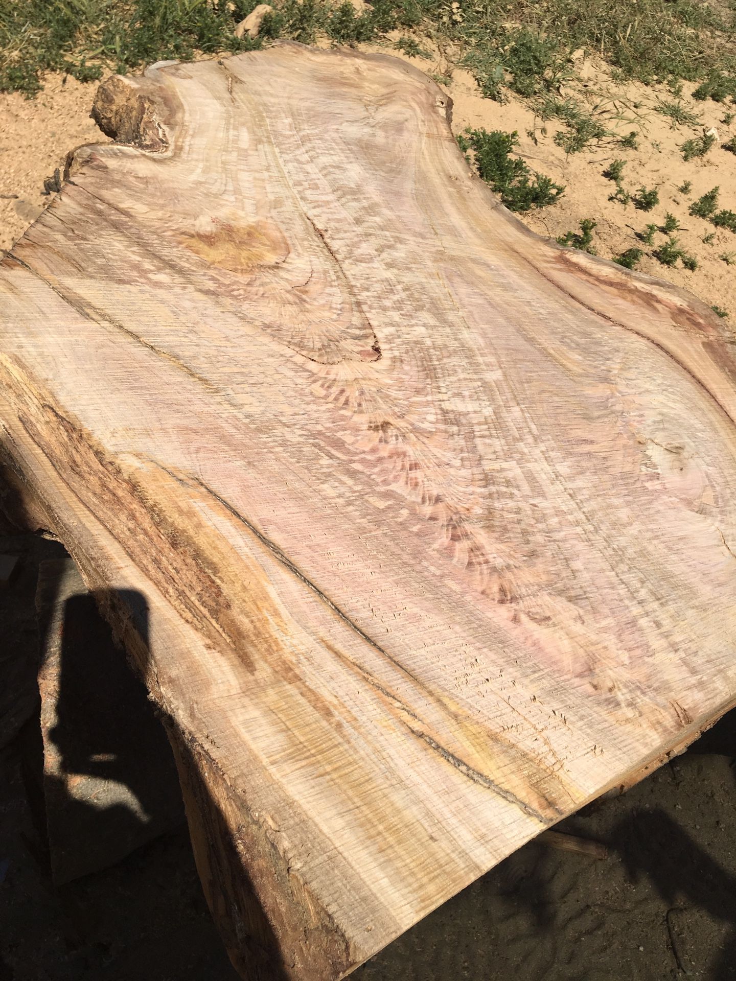 Live edge raw wood slabs dried
