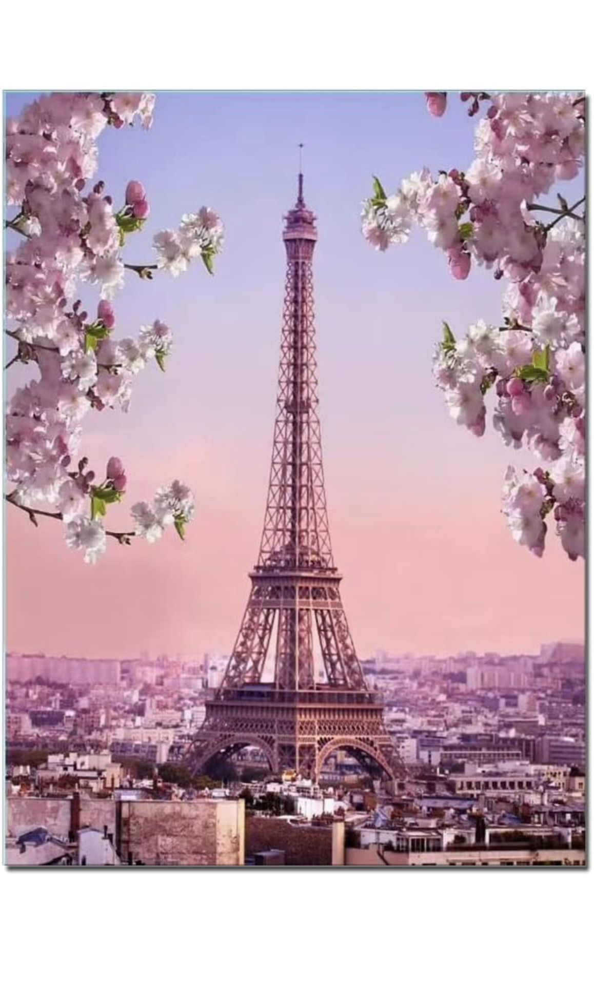 BRAND NEW Pink Blossoming Paris Street Eiffel Tower Ronmance Living Room Wall Art Landscape Canvas Print(12”x16”)