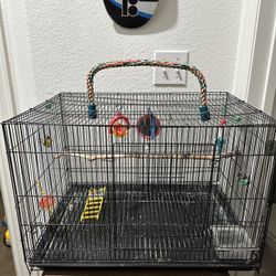 Bird Cage/ Cage 