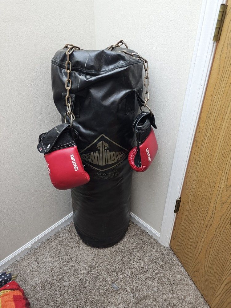 Century Punching Bag and Gloves