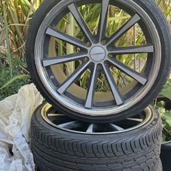 Vossen réplicas  20