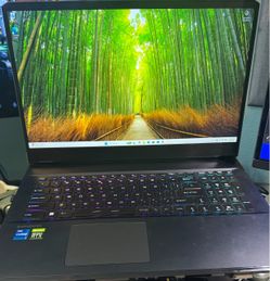 MSI GE76 Raider 17.3” Gaming Laptop(i7-12700H RTX3060,16GB,1TB)