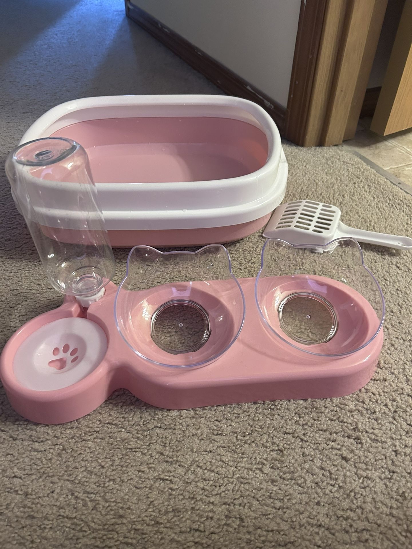 Cat Litter box and food bowl