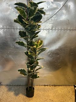 Artificial Decorative Plant 5.5ft (NEW)
