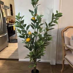 Decor Lemon Tree