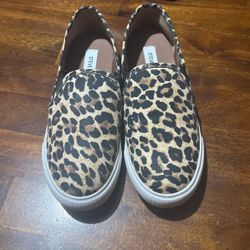 Steve Madden Shoes