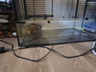Rat Cage