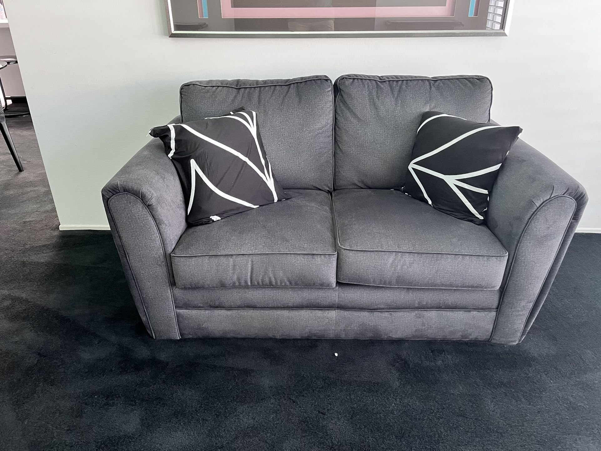 Grey Plush Couch