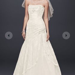 Size 14 Strapless David's Bridal Wedding Dress