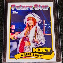 WWE Rookie Kairi Sane NXT Future Star 2018