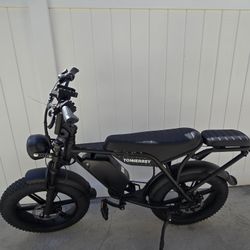 Electric Bike 