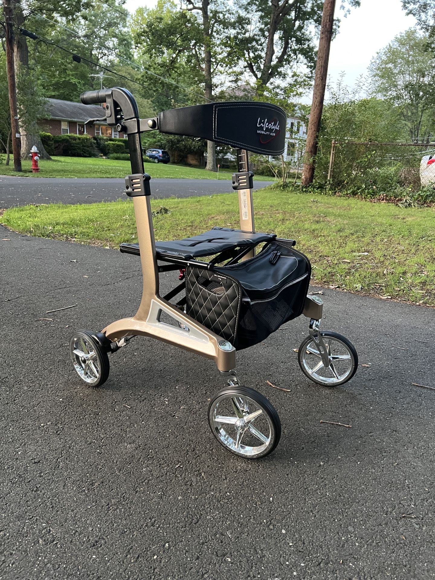 Arpeggio Rollator up to 300 lbs
