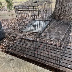 3 Big Doge Cage