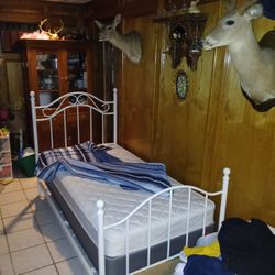 Twin Bed 