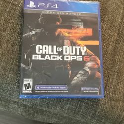 Call Of Duty Black Ops 6  PS4 Cross Gen Bundle 