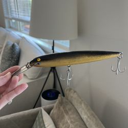 Fishing Lure