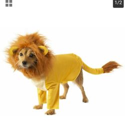 Dog Halloween Costume