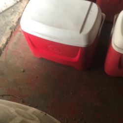 2 Igloo Coolers 