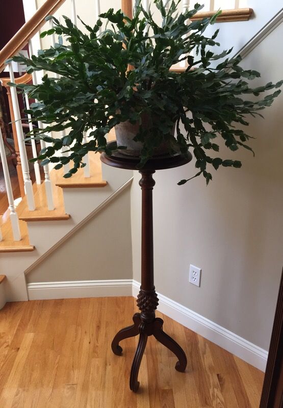 Ethan Allen British classics Plant Stand with plant