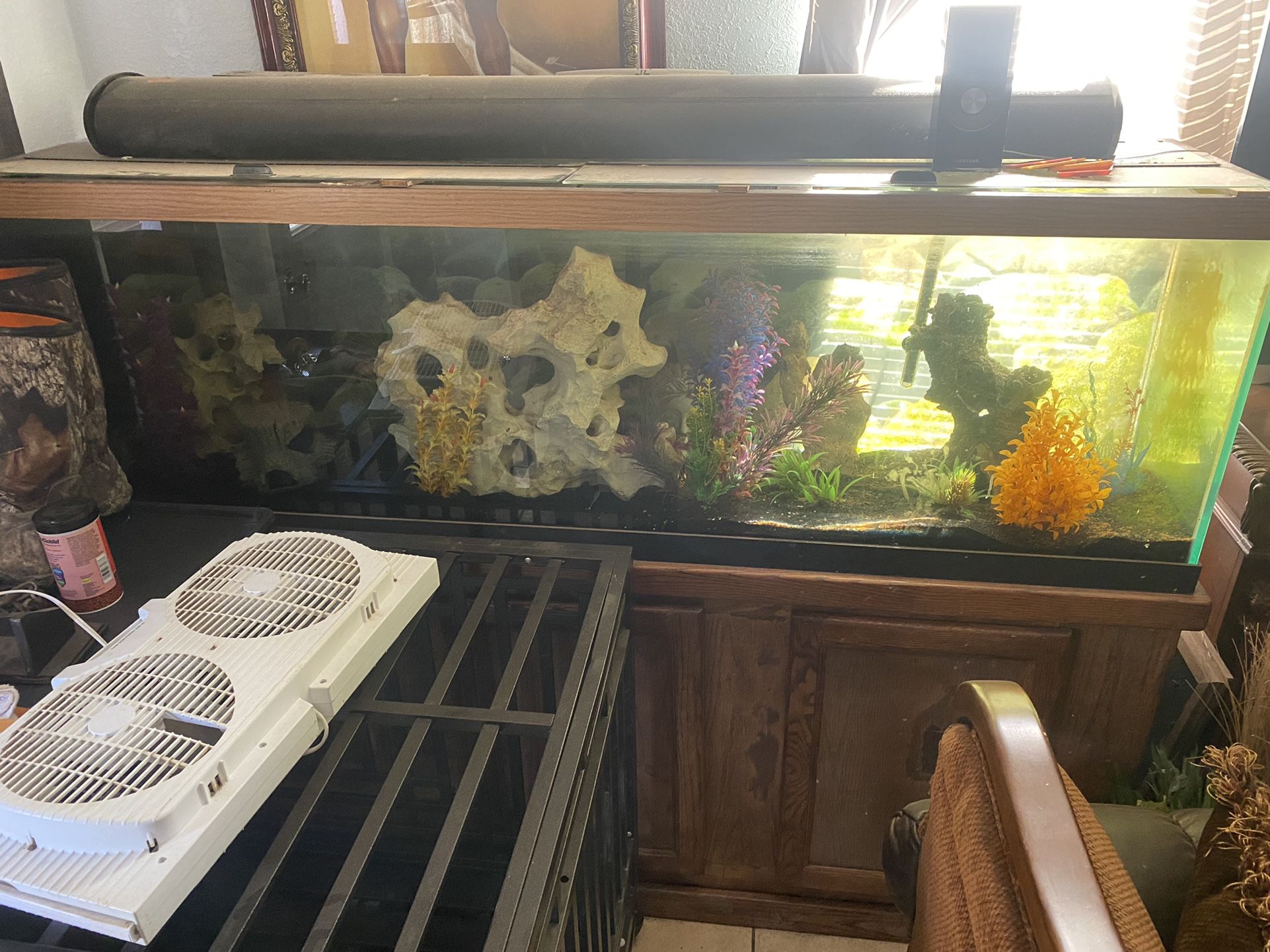6ft Long Fish Tank 