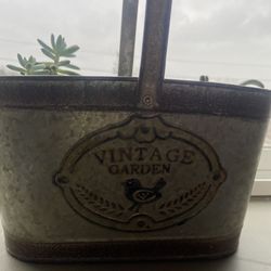 Vintage Succulent Bucket 