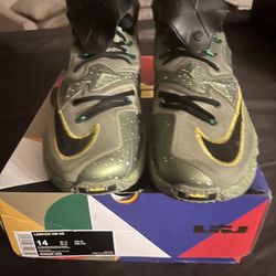 Lebron James Sneakers Size 14 