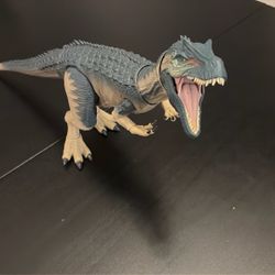 Perfect Condition Hammond Collection Allosaurus