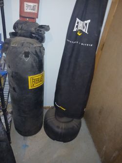 Everlast And Everflex Punching Bags W/ Gloves