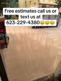 Carpet Cleaner