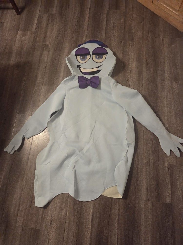 Boo Berry Ghost Adult Costume
