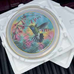 Hummingbird Decorative plate 