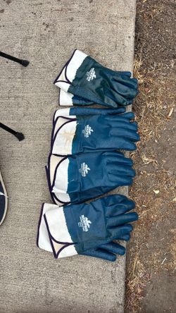 Large Memphis gloves