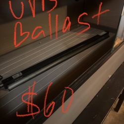Bearded Dragon UVB bulb Ballast 