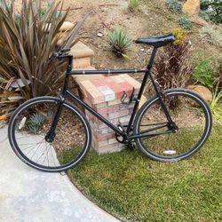 Single Speed XL Bike