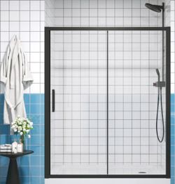 Glass Shower Door